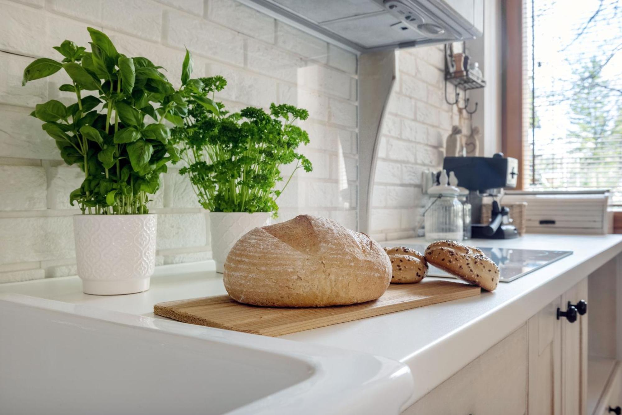 Apartament Pod Orlem زاكوباني المظهر الخارجي الصورة